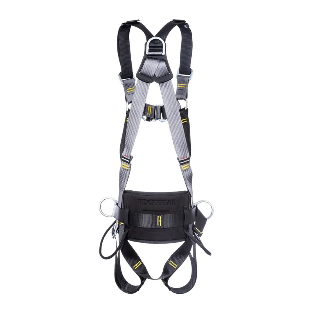 Ridgegear RGH6 4-Point Harness