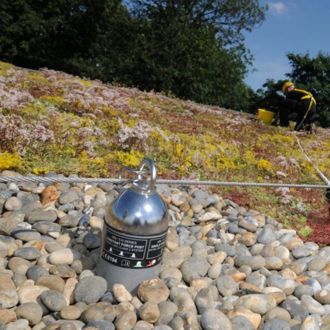 Anker voor groendaken