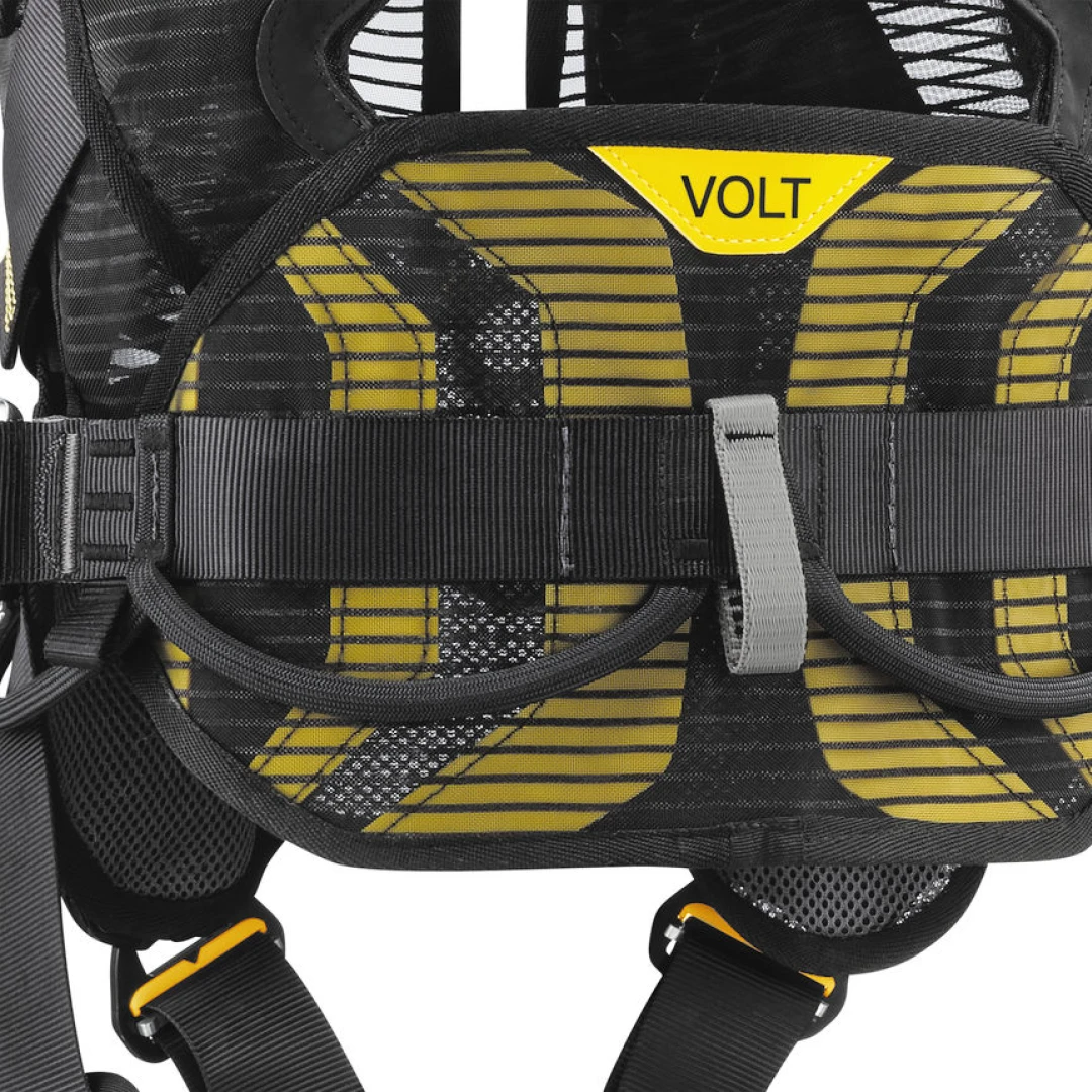 C72AFA VOLT focus 1LowRes