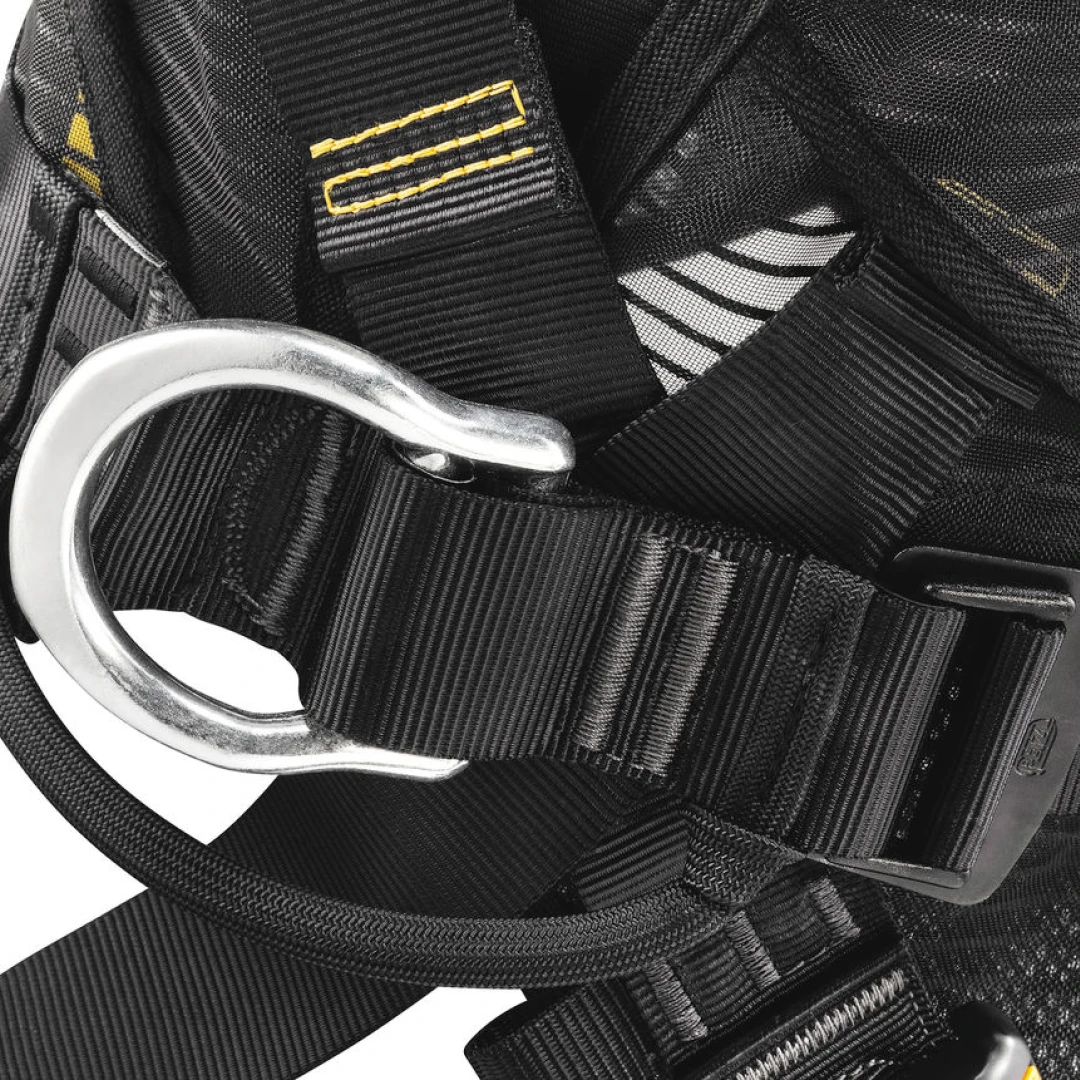 C72AFA VOLT focus 5LowRes