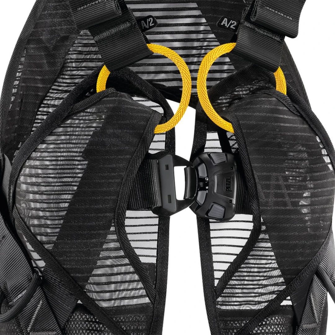 C73JFA NEWTON EASYFIT focus1LowRes