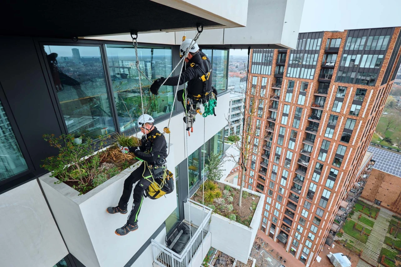 rope access werkzaamheden langs een gebouw om groenvoorziening te onderhouden