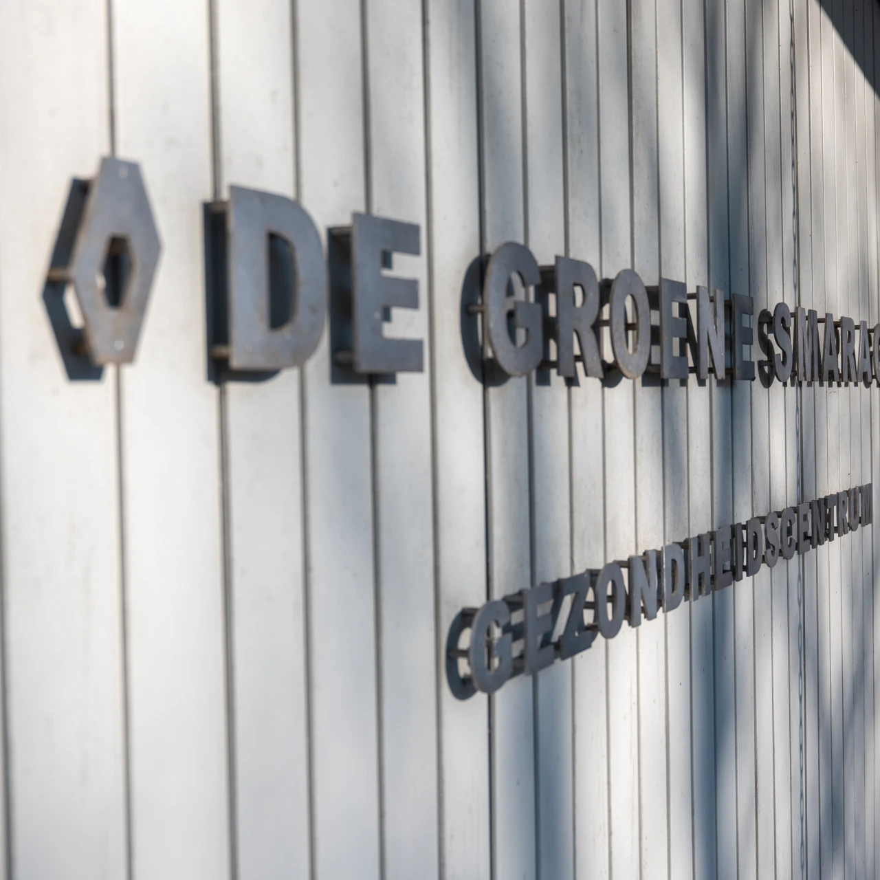 een vooraanzicht van de groene smaragd