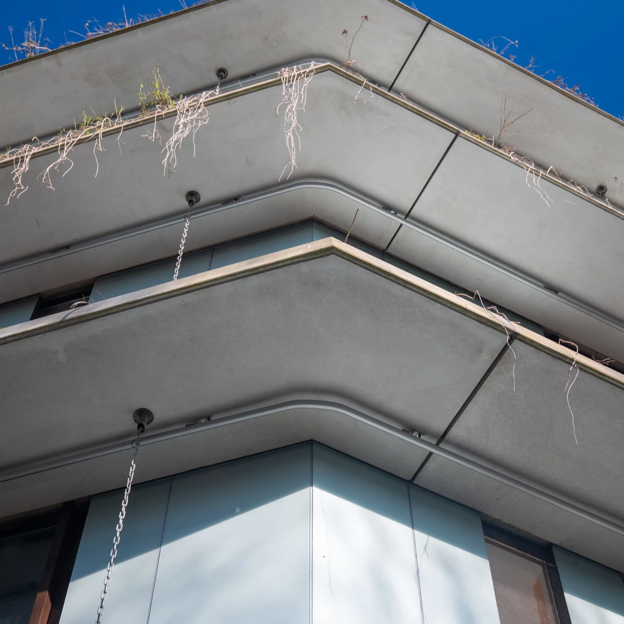 een railsysteem gemonteerd onder een groendak