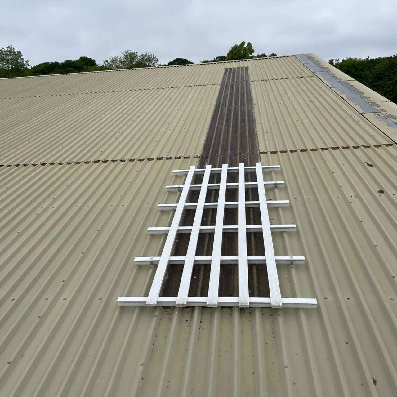 Roof Walkway System