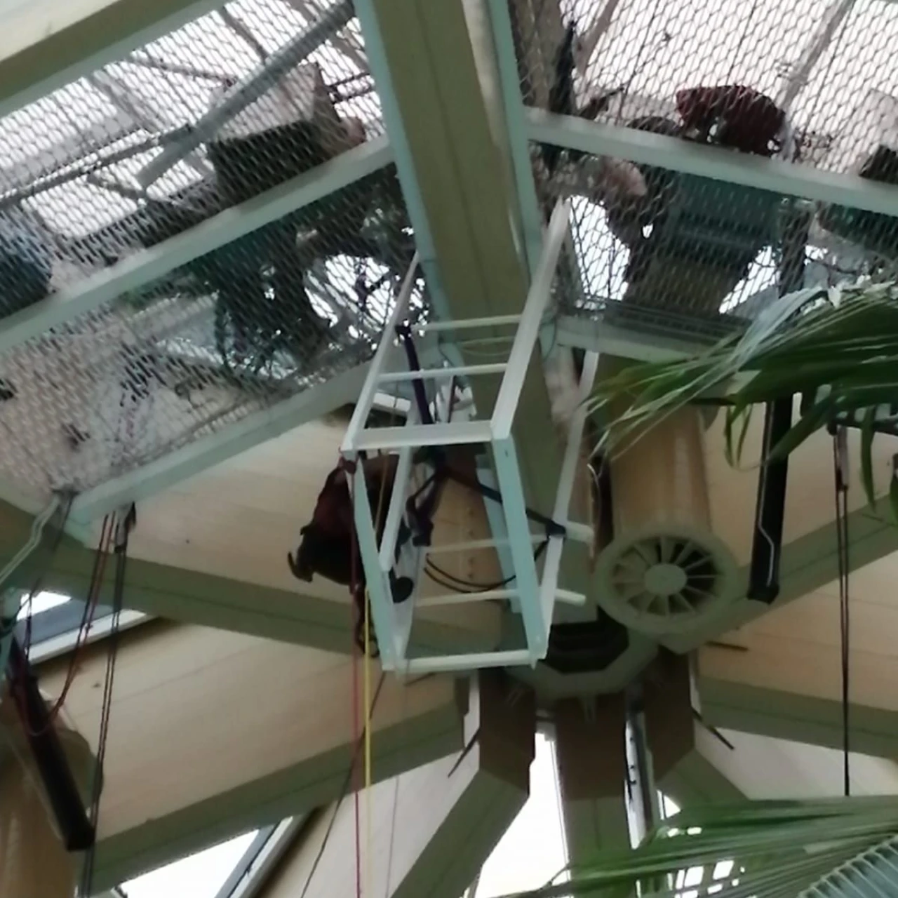 Center Parcs - Case Study