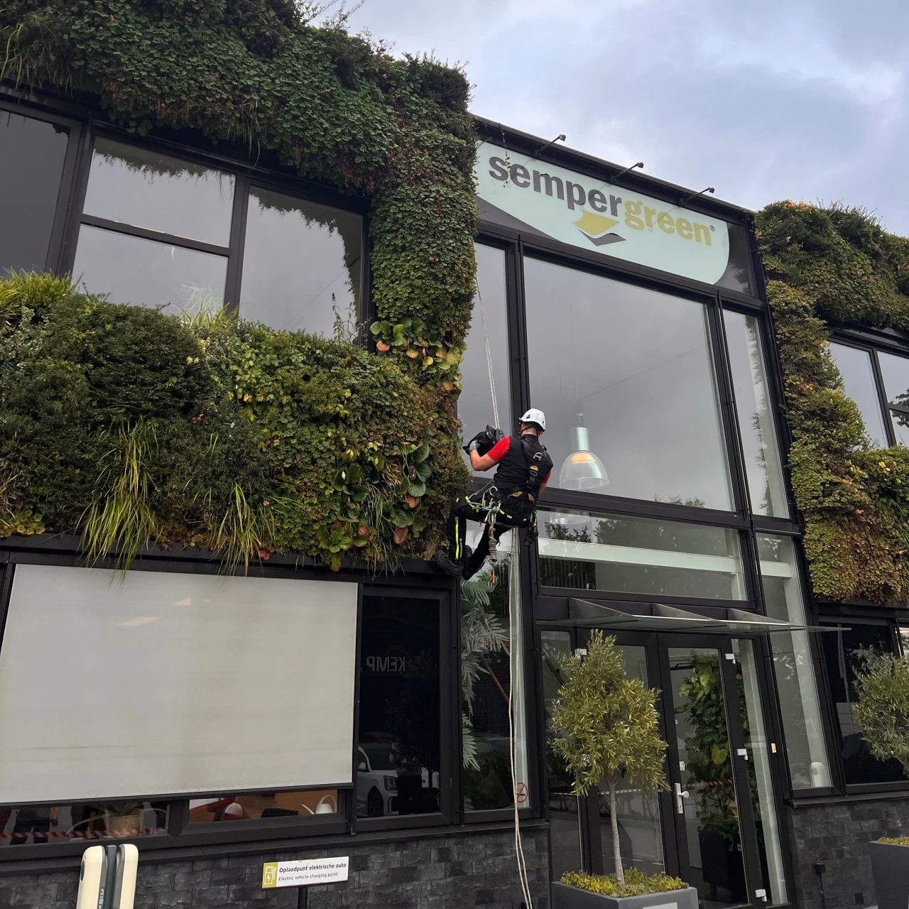 man hangend aan touw bij semper green gebouw