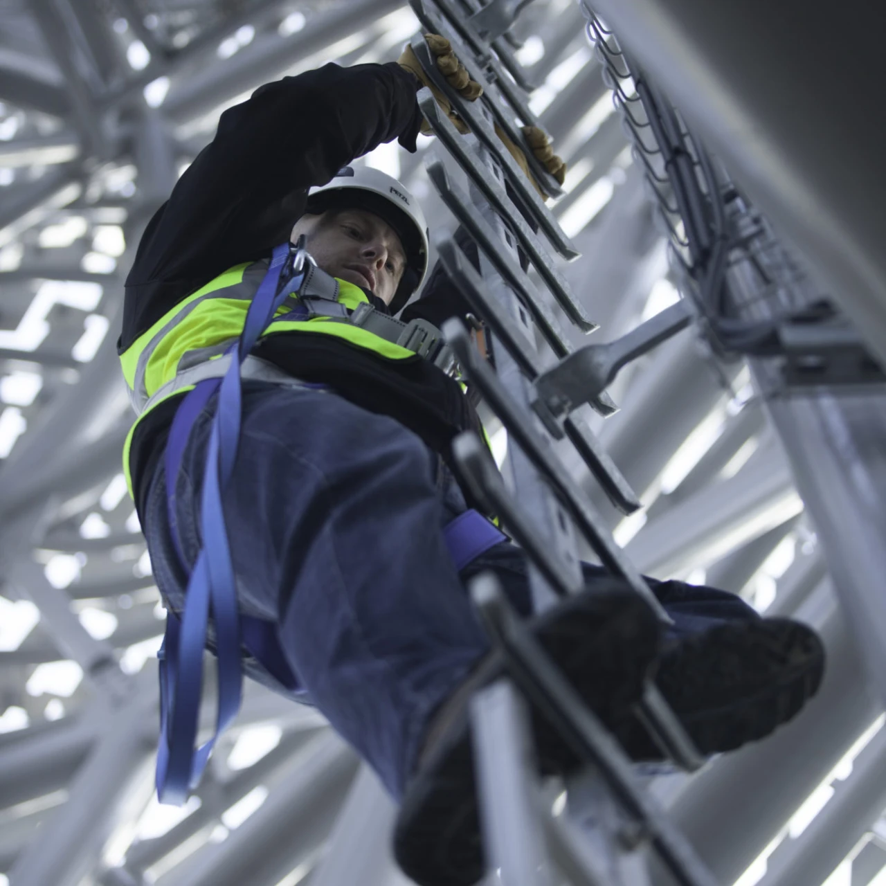 GlideLoc Y-Spar Ladder