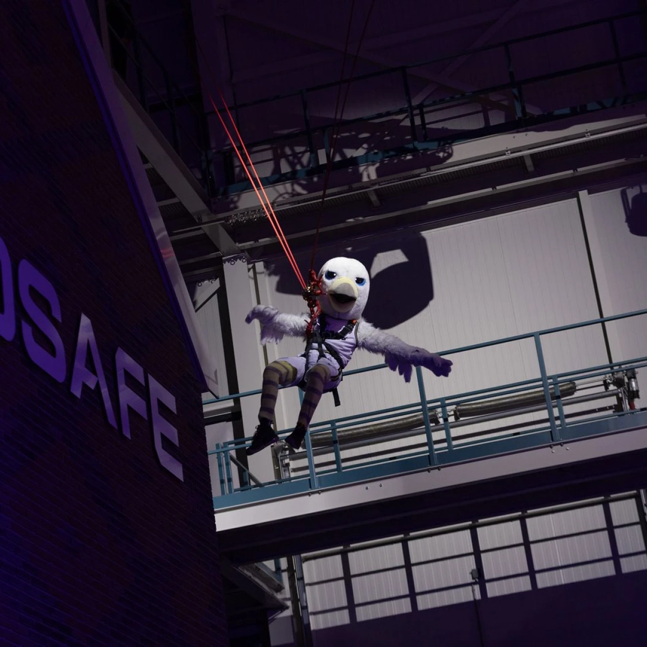 een vogel mascotte die naar beneden vliegt