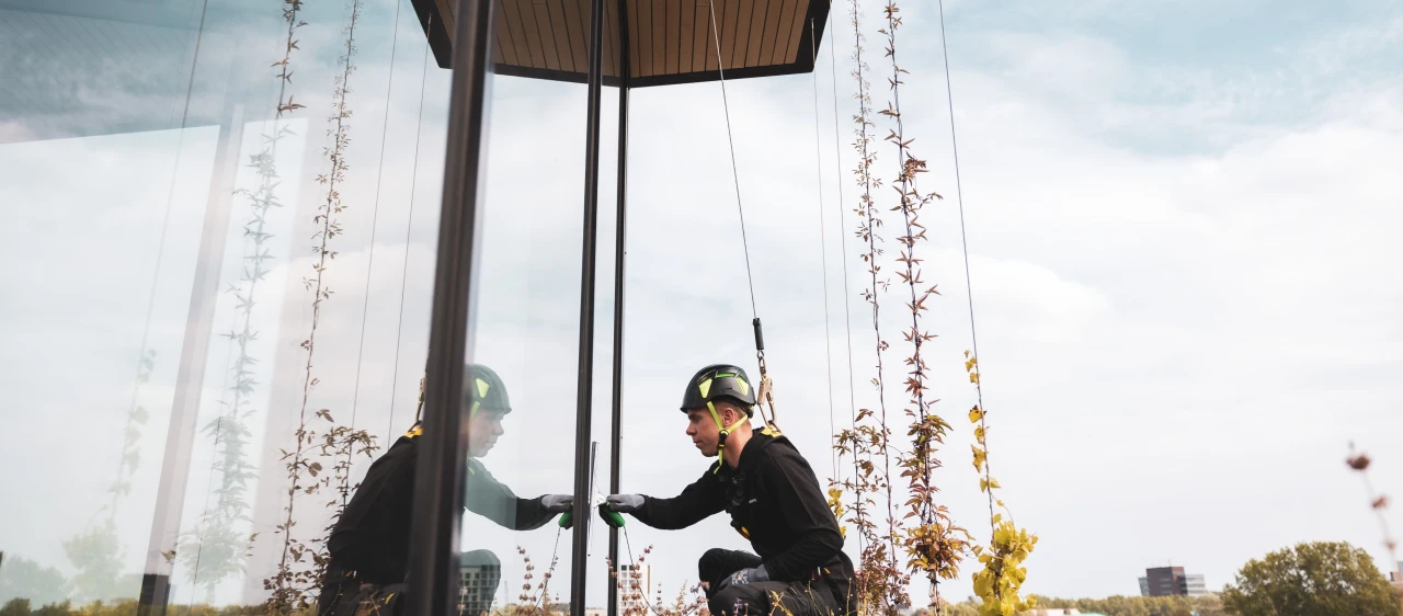 Een man die onderhoud pleegt aan een groengevel