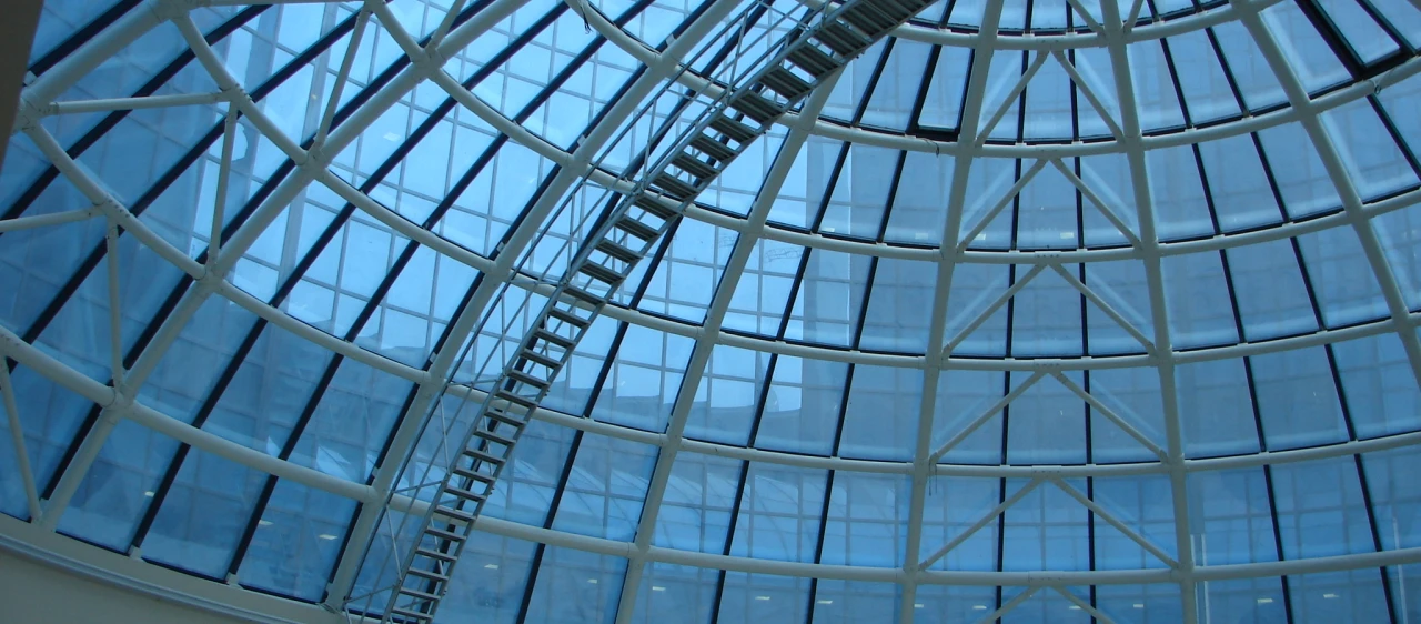 Travelling Ladder Inspection