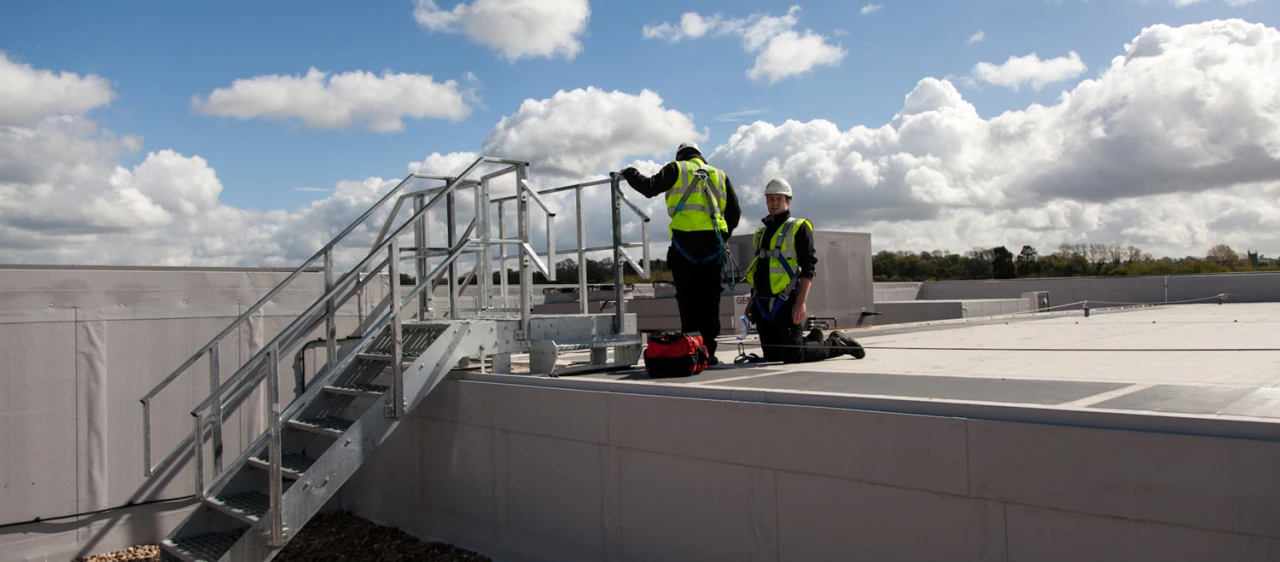 Fixed Ladder Inspection