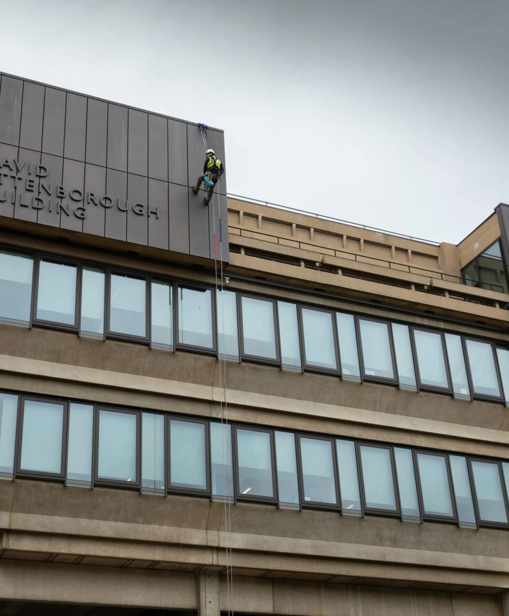 The David Attenborough Building, Rope Access