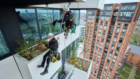 rope access werkzaamheden langs een gebouw om groenvoorziening te onderhouden